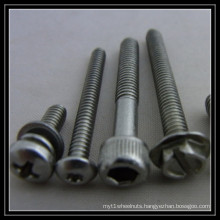 Stainless Steel Screw